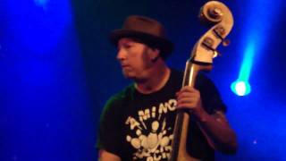 Th' Legendary Shack Shakers - CB Song