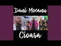 Cioara Cioara