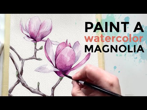 How to paint a Magnolia flower with watercolor