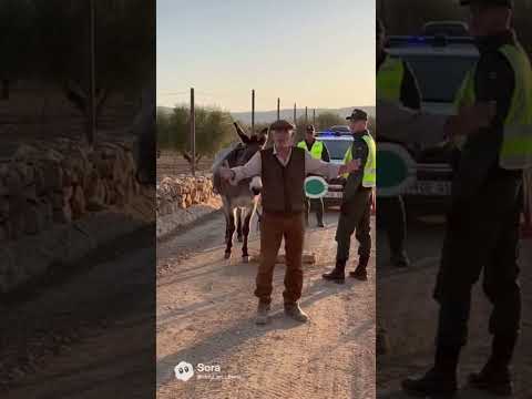 🔥 BALIZA V16 P'AL BURRO… ¡España ya es un circo! 😂