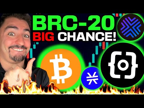 BRC-20 Tokens NO ONE KNOWS YET! (100x Bitcoin Altcoins EXPLAINED!)