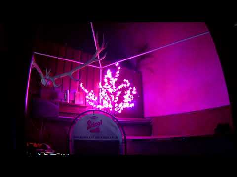 MMM FETTE BEATS 141 - DJ Ostkurve Live (at the Beach Bar Part 2)