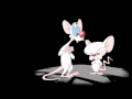 Pinky and the Brain Theme Song Intro HQ with ...