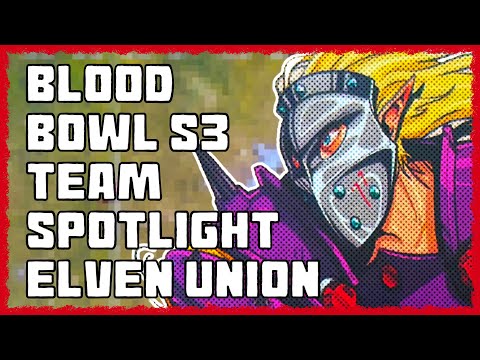 Team Spotlight: Elven Union