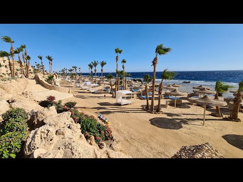 Citadel Albatros -  The entire coast