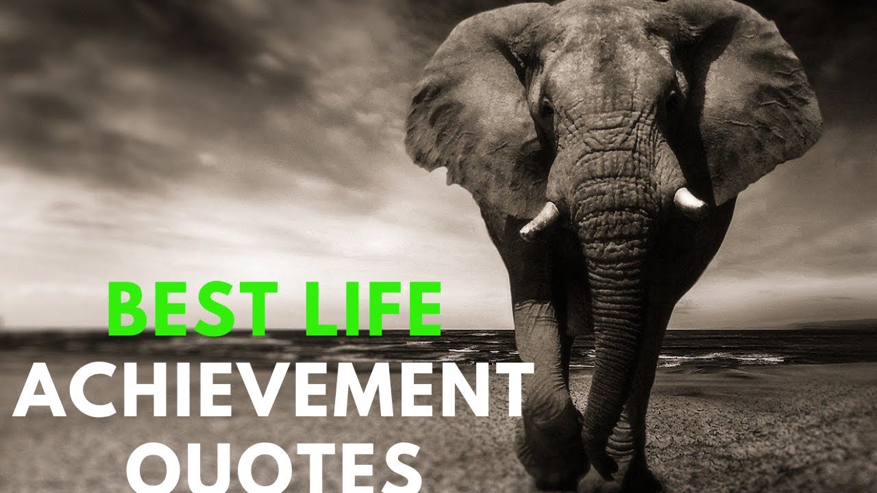 best quotes for success. best life achievement quotes.