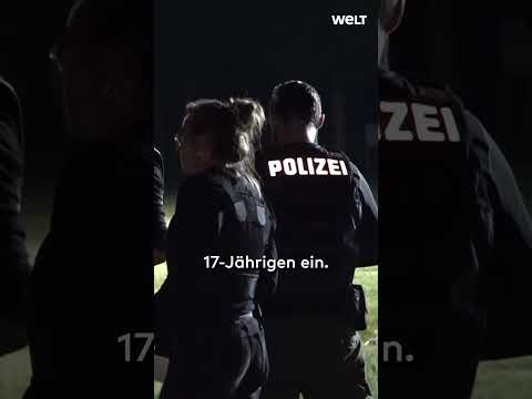 HAMBURG: Völlige Eskalation! Massenschlägerei im Stadtpark! #stadtpark #hamburg #shorts