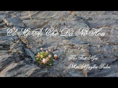 Cổ mộ ai chờ đá nở hoa - Ngọc Quy