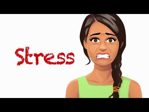 How Stress Affects the Brain