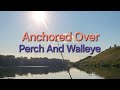Video Thumbnail for Anchored Over Perch And Walleye