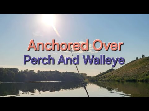 Anchored Over Perch And Walleye