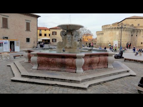Pulizia di parassiti con erbe I vermi quali analisi hanno bisogno di esser consegnate