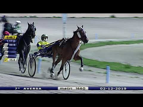 Aversa trotto 2 Dicembre 2019 - 7° Corsa Premio MODIGLIANI