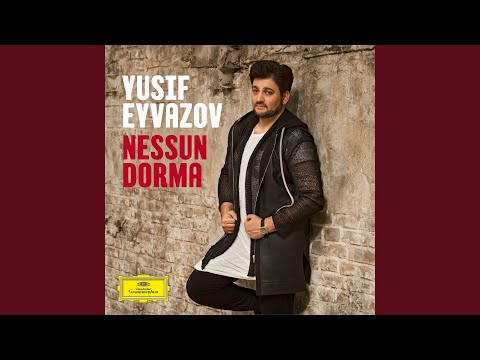 Puccini: Turandot / Act 3 - "Nessun dorma"