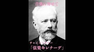 Download lagu 音楽に寄せて／チャイコフスキー「弦楽セレナーデ」#クラシック #管弦楽曲#チャイコフスキー mp3