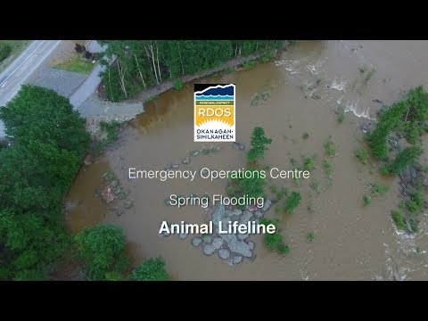 RDOS Animal Lifeline