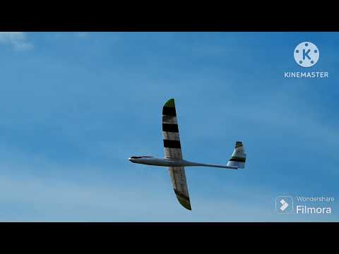3D PRINTED RC GLIDER  MODEL GT3376
