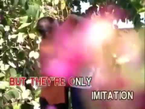 Paper Roses - Lola Dee [Able Music]