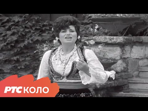 Mira Vasiljević - Nikad neću voleti