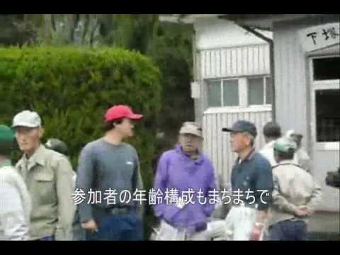 動画サムネイル