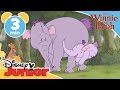 The Mini Adventures Of Winnie The Pooh Hunting Heffalumps Disneykids