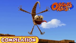 Oscar's Oasis - February COMPILATION