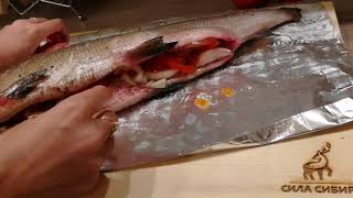 Где водится муксун рыба на карте