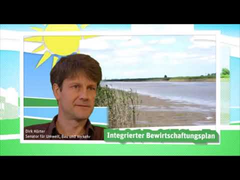 Umweltprojekte in Bremen entdecken