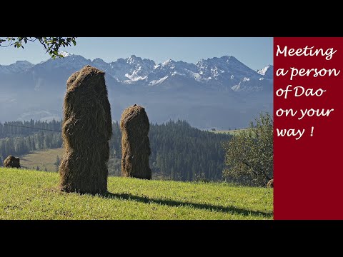 Zen Koans with an Advaita Twist - Mumonkan 36 - Meeting a Man of Dao on your Way