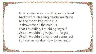 Holly Brook - What I Wouldn't Give Lyrics
