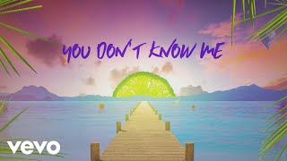 Sigala, Shaun Frank, Flo Rida - You Don&#39;t Know Me ft. Delaney Jane (Lyric Video)