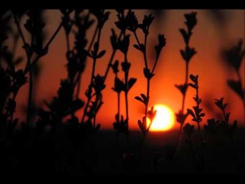 Emina Zečaj - Salko se vija previja