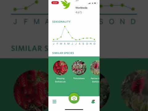 How to use Seek by iNaturalist