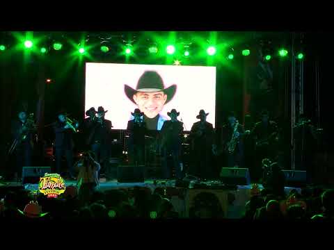 La Brissa sings at Somerton Tamale Festival 2025