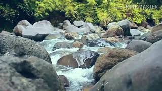 preview picture of video 'sungai pondok bambu Tukka'