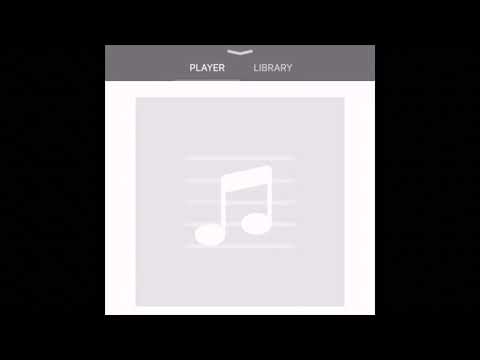 *NEW* King Capital snippet Capital STEEZ