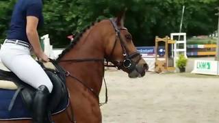 Wideo od Farfalla 11