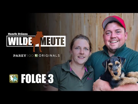 Henrik Drüens Wilde Meute | Die Meute bekommt Zuwachs und Drückjagdvorbereitung | Folge 3