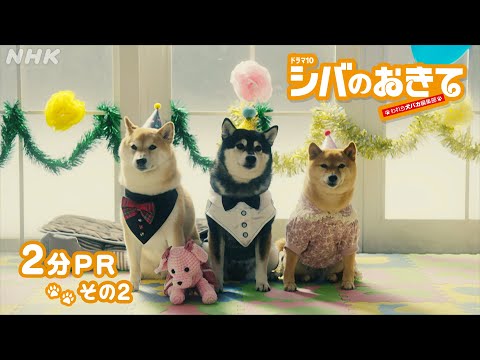 シバのおきて～われら犬バカ編集部～