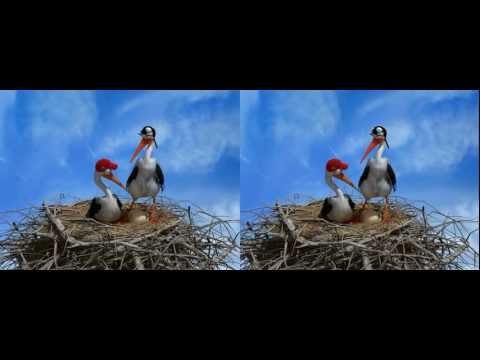 Anaglyphic 3D movie Video 3d stereo Cicogne il volo in delle signore dei cieli  (galliano 2009)
