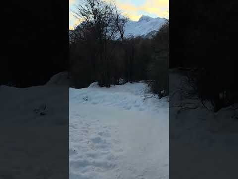 Senderos de Ushuaia #viral #viralshorts #viralvideo #trekking #walking