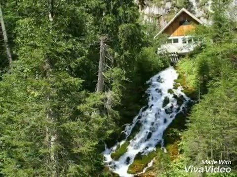 Cazare Busteni - Apartament Confort