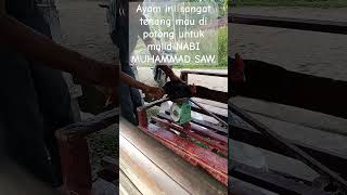 Download lagu Memperingati maulid nabi Muhammad Saw @islam_populer99 #islam #maulidnabi #ayam #fyp mp3 Download lagu Memperingati maulid nabi Muhammad Saw @islam_populer99 #islam #maulidnabi #ayam #fyp mp3