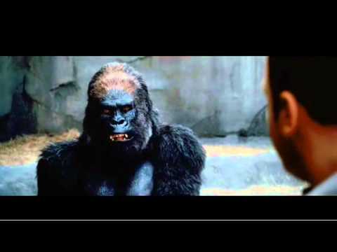 Zookeeper - Out now on DVD and Blu-ray