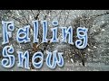 Falling Snow... А снег идет... 