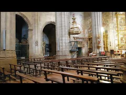Hearing a 1700s organ in our private tour