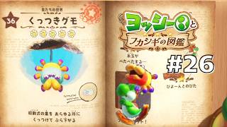 くっつきグモを徹底調査！#26 【ヨッシーとフカシギの図鑑】