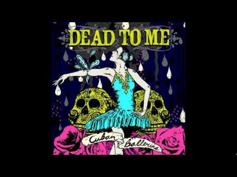 Dead to Me-Special Professional