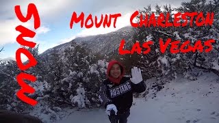 preview picture of video 'Snow on Mount Charleston 2015 (GoPro HERO 4)  เดินลุยหิมะ'