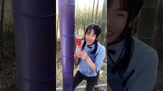 My Country Life Bamboo Forest Food Music Planting Project #128
